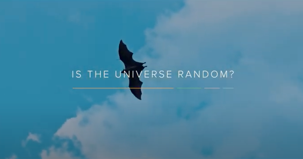 Is the universe random? Purposeful Universe