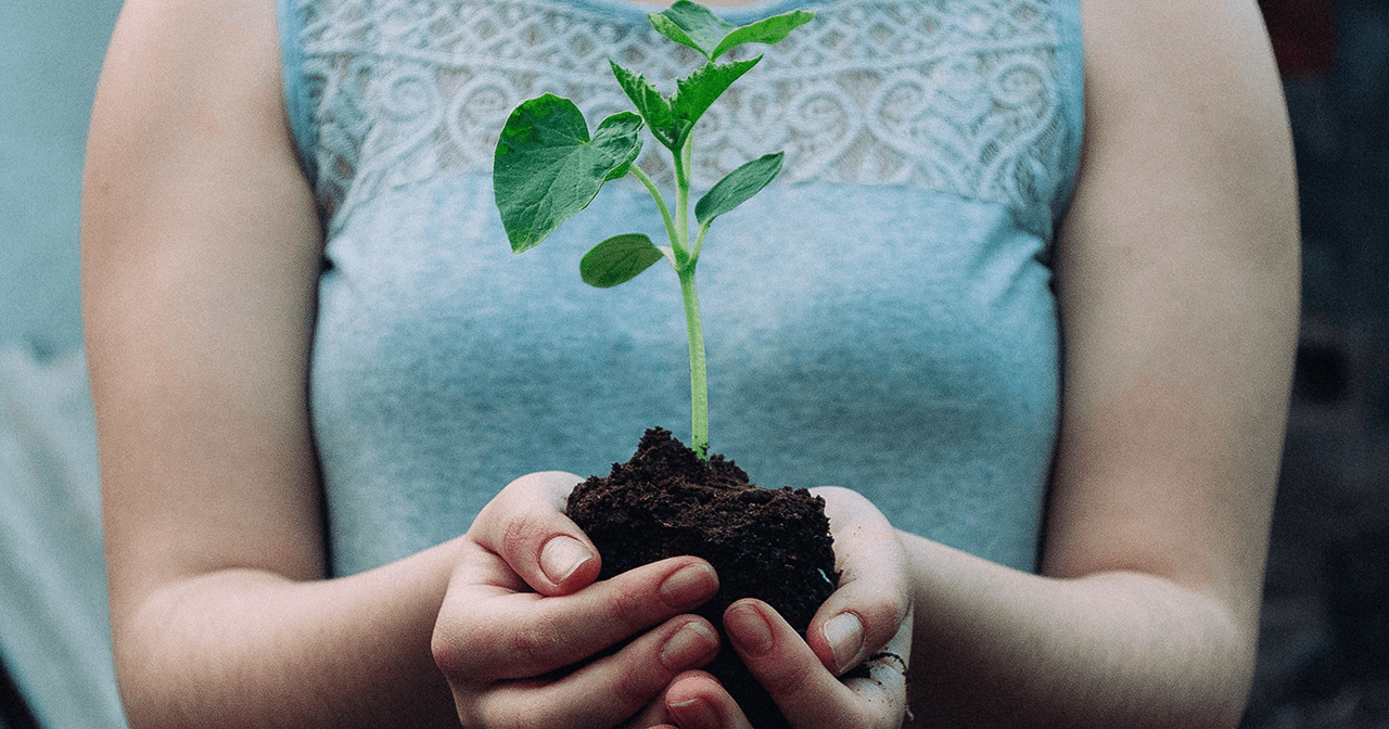 person holding a sprouting plant | Purposeful Universe 