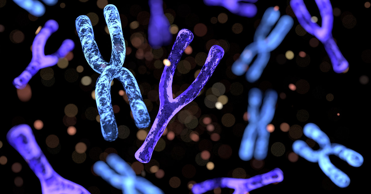 x y chromosomes | biological sex